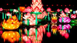 Comenzó la venta de entradas para el Festival Fesiluz: ¿Cuánto cuestan y dónde comprarlas?