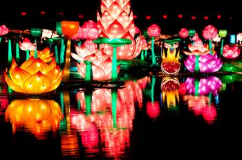 Comenzó la venta de entradas para el Festival Fesiluz: ¿Cuánto cuestan y dónde comprarlas?