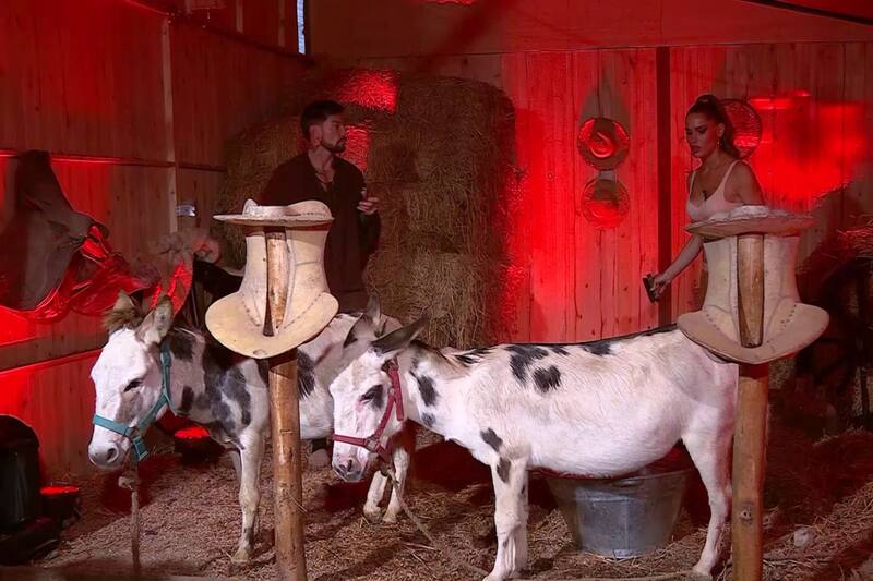 se pelearon nuevamente.