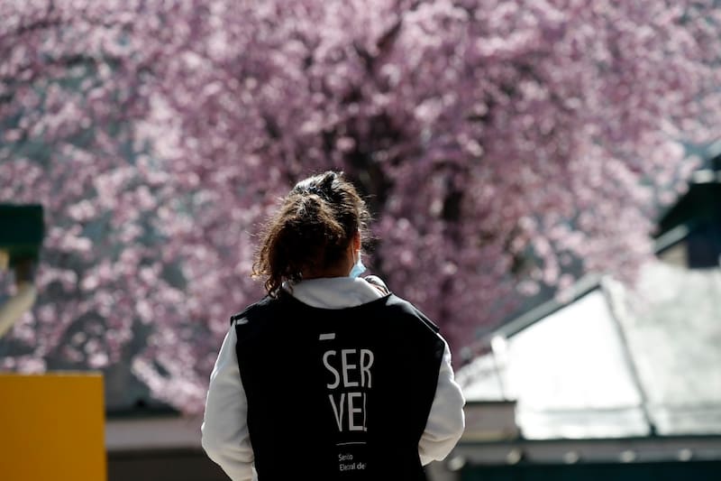 Revisa los empleos disponibles en el SERVEL.