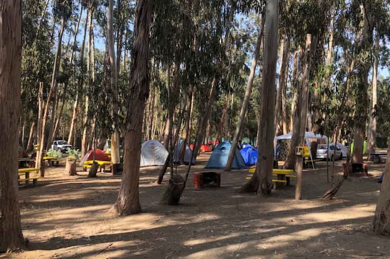 Es un lugar perfecto para desconectarse del ritmo de la ciudad.
Créditos: Camping Bahía Marina.