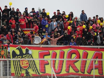 Unión Española, Audax Italiano o Palestino: el equipo de colonias que más público lleva