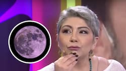 Vanessa Daroch revela fácil y económico ritual para sacar provecho a la Luna Rosa de la noche del 12 de abril