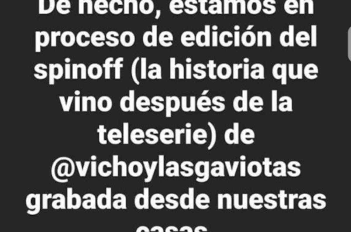 "Gemelas" tendrá spin-off y contará qué pasó con "Vicho y Las Gaviotas"