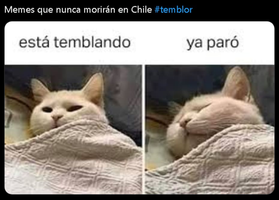 Así reaccionaron las redes con el temblor.