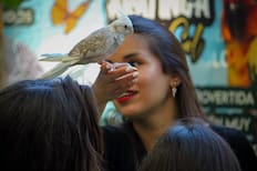 ¿Qué hacer HOY en Santiago?: Panoramas familiares para este miércoles 25 de febrero