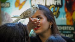 ¿Qué hacer HOY en Santiago?: Panoramas familiares para este miércoles 25 de febrero