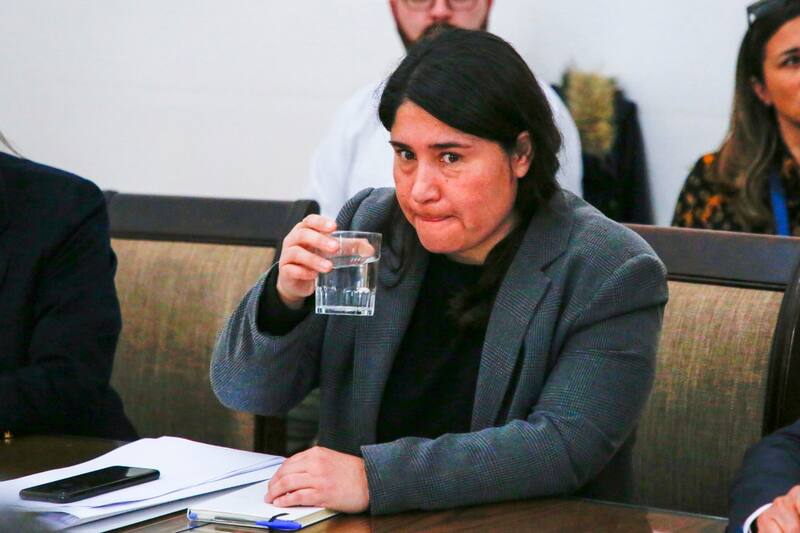 dejó el cargo de jefa del Plan Estadio Seguro. Foto: Aton.