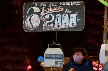 Ingreso Familiar de Emergencia: Cómo saber si cobro y cuándo es el quinto pago