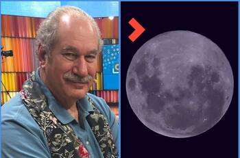 Resolver problemas de amor y más: Pedro Engel entrega sus recomendaciones para la Luna Rosa