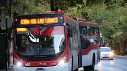 Quienes cumplan con este requisito podrán obtener PASAJES GRATIS en Metro y Buses Red