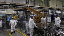 Subsidio al Empleo: revisa aquí en qué consiste el beneficio y quién puede recibirlo