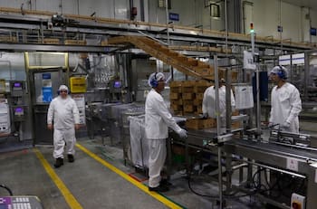 Subsidio al Empleo: revisa aquí en qué consiste el beneficio y quién puede recibirlo