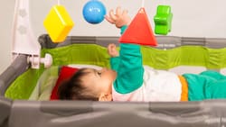 Estado regala una cuna gratis a las madres que cumplan UN requisito