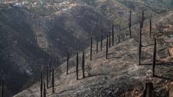 Incendio forestal: Onemi declara alerta roja en Pumanque, Paredones y Pichilemu