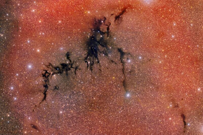 Conoce todos los detalles del descubrimiento.