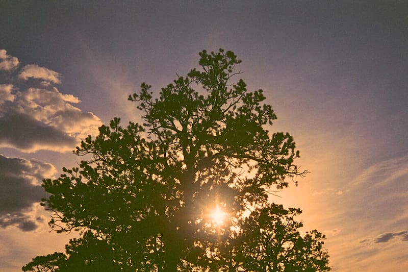 La inclinación de la Tierra hacia el Sol, provoca que el hemisferio sur se encuentre más cerca y reciba de manera más intensa los rayos solares.