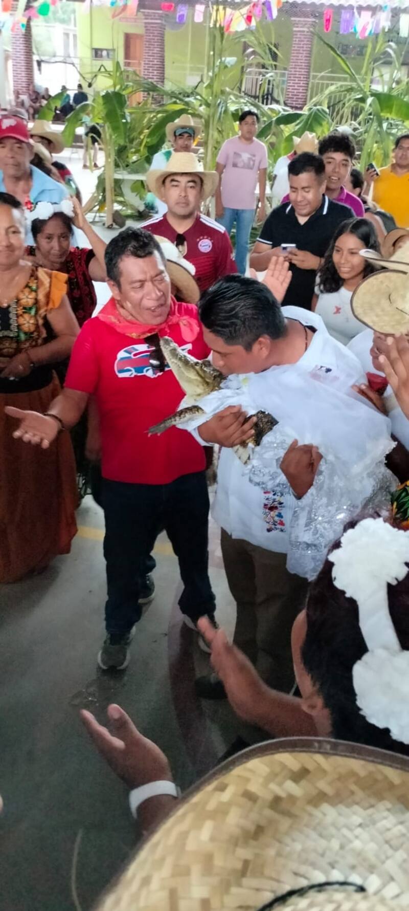 El reptil hembra se llama Alicia Adriana. Créditos: Facebook Víctor Hugo Sosa.