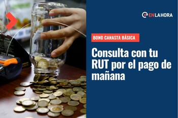 Bono Canasta Básica: Revisa con tu RUT si recibes el subsidio que mañana entregará nuevos pagos