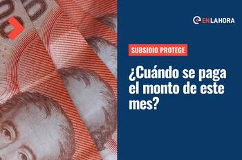 Subsidio Protege: ¿Cuándo se paga este beneficio y cómo postular para obtenerlo?