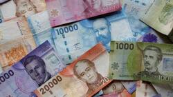 Trabajadores pueden solicitar hasta $646.000 si pertenecen al 40% del Registro Social de Hogares: Postula así