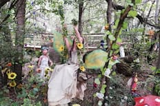 Parece sacado de una película de ficción, pero está en Chile: El bosque temático que puedes visitar en la Región del Biobío