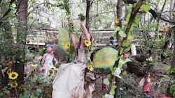 Parece sacado de una película de ficción, pero está en Chile: El bosque temático que puedes visitar en la Región del Biobío