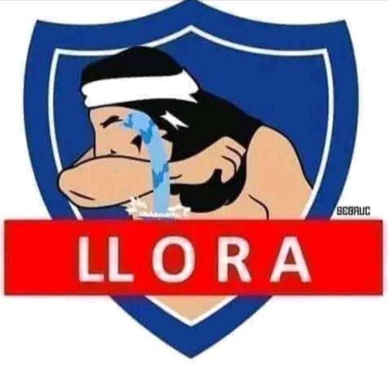 Los memes que dejó la caída de Colo Colo.