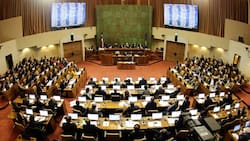 Se rechazó la paridad en el Consejo Constitucional: ¿Qué implica?