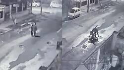 VIDEO | Que no te pase estas fiestas: Familia encuentra el registro cuando hijo curado cae al barro y se ríen de la situación