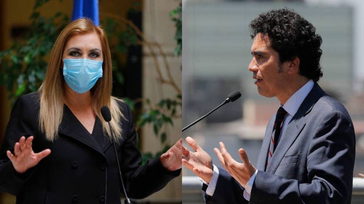 Pamela Jiles estalló contra ministro Briones: "Nos tiene podridos y chatos con su crueldad"