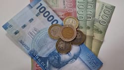 Caja 18 paga bono de $25.000 a afiliados que cumplan dos requisitos