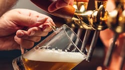 Popular marca de cerveza internacional confirma megaproyectos en América Latina: invertirá $2.700 millones de dólares