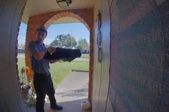 VIDEO | Aprovechó el momento: Ardilla se lanza dentro de una casa mientras entregaban una pizza