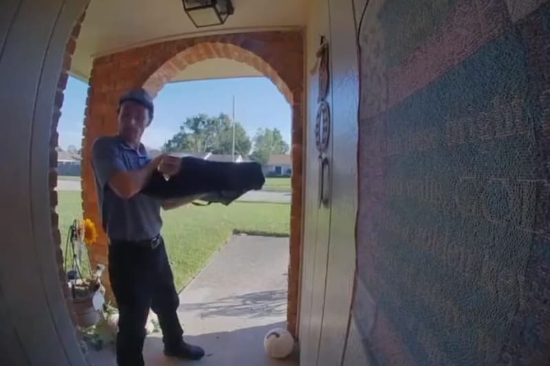 La astuta ardilla encontró el momento perfecto para entrar a la casa. Captura video