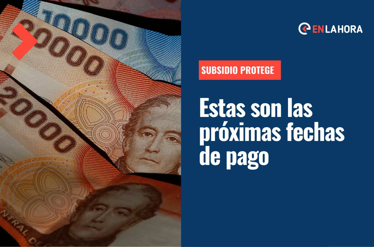 Subsidio Protege: Revisa el calendario de pagos del beneficio que entrega $200.000