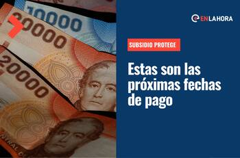 Subsidio Protege: Revisa el calendario de pagos del beneficio que entrega $200.000