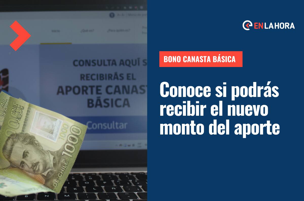 Bono Canasta Básica: Solo con tu RUT conoce si recibirás el nuevo monto del beneficio en octubre