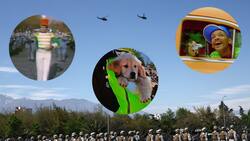 El piso sucio, los perritos e incluso el teniente Karol Dance: los mejores memes que dejó la Parada Militar 2025