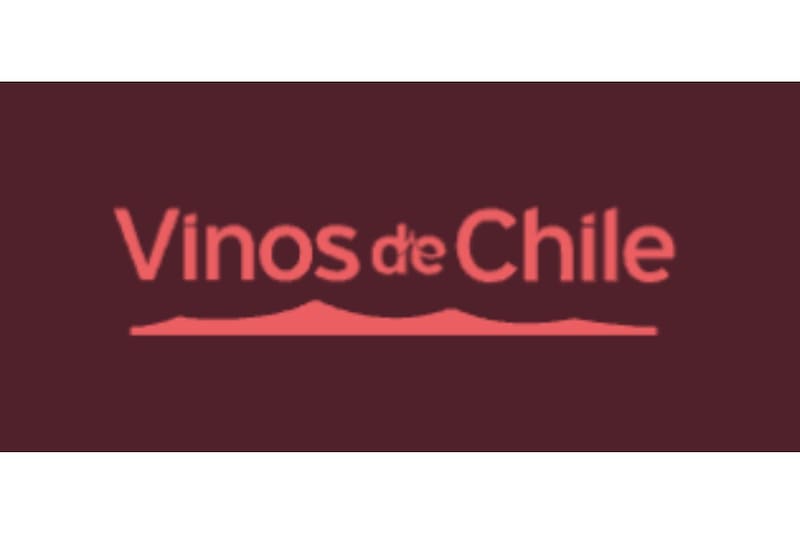 Estos son todos los detalles que debes saber sobre este tan esperado evento.
Créditos: Chile Wine Fest 2025.