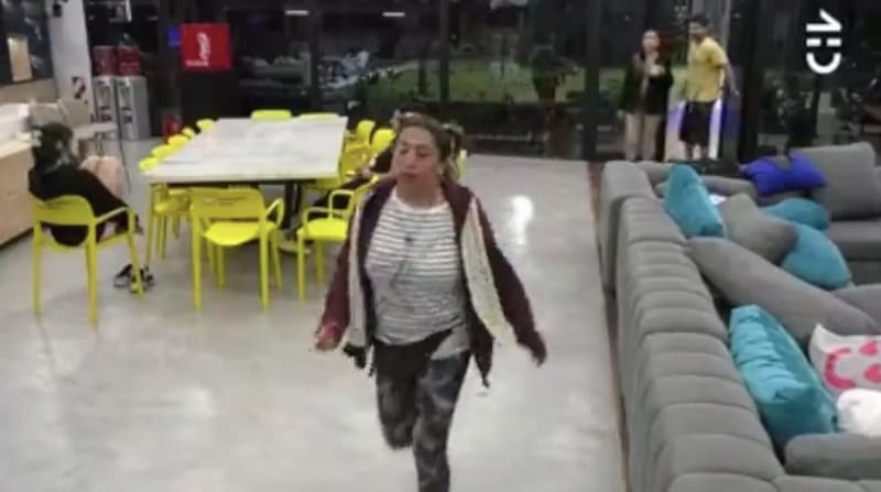 Una fuerte discusión se habría vivido en "Gran Hermano" Chile entre Pincoya y Sebastián Ramírez. Foto: CHV.