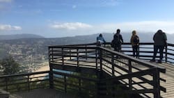 Tiene vista al mar y 100 hectáreas de extensión: el pulmón verde de Valparaíso que es un imperdible para recorrer en otoño