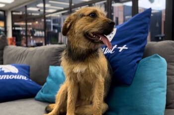 ¡Bigote ya está en Chile!: Así han sido las primeras horas en su nueva vida tras salir de “Gran Hermano”