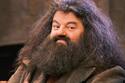 Así luce Nick Frost interpretando a Hagrid en nueva serie de Harry Potter