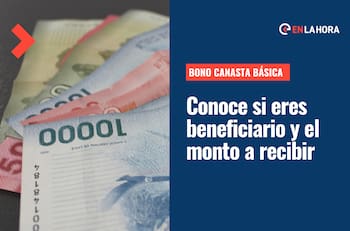 Bono Canasta Básica: Consulta el monto que puedes recibir y revisa con tu RUT si eres beneficiario