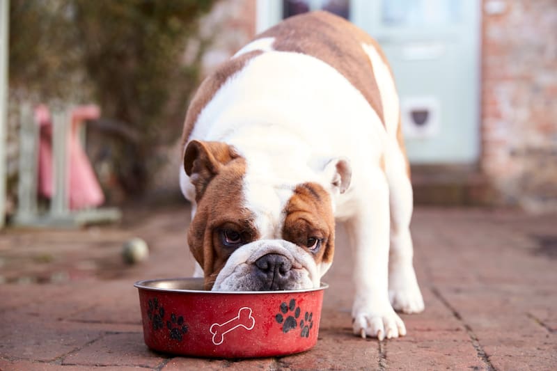 Conoce cuál es el horario ideal.