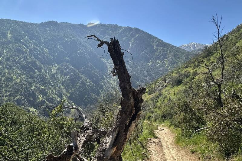 En la capital, hay rutas con distintos niveles de dificultad para incentivar el deporte durante la primavera. En la foto: Parque Natural Aguas de Ramón. Créditos: Vivien Vitasse - AllTrails.