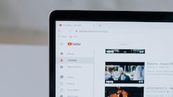 ¿Sorpresa? Estos son los programas chilenos más vistos en YouTube