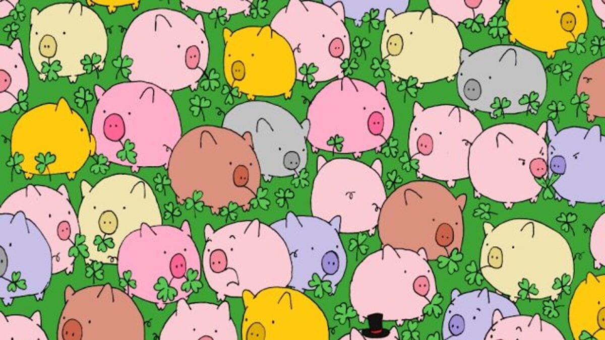 Acertijo visual: ¿Puedes encontrar el trébol de cuatro hojas entre los cerditos?