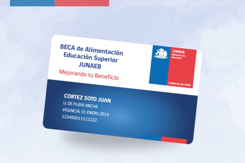 Conoce cuándo se recargará el beneficio. Créditos: Junaeb